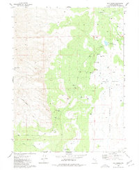 Download a high-resolution, GPS-compatible USGS topo map for Salt Marsh, NV (1980 edition)