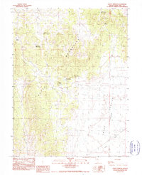 Download a high-resolution, GPS-compatible USGS topo map for Sammy Springs, NV (1990 edition)