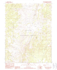 Download a high-resolution, GPS-compatible USGS topo map for Savory Mountain, NV (1990 edition)