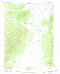 Download a high-resolution, GPS-compatible USGS topo map for Shingle Pass SE, NV (1971 edition)