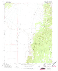 Download a high-resolution, GPS-compatible USGS topo map for Sidehill Spring, NV (1973 edition)