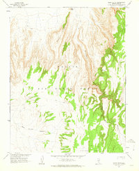 Download a high-resolution, GPS-compatible USGS topo map for Silent Butte, NV (1963 edition)