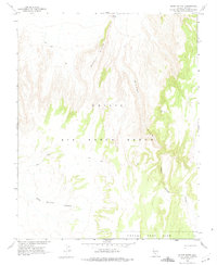 Download a high-resolution, GPS-compatible USGS topo map for Silent Butte, NV (1975 edition)