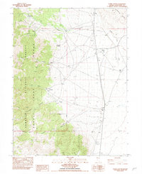 Download a high-resolution, GPS-compatible USGS topo map for Silver Canyon, NV (1982 edition)