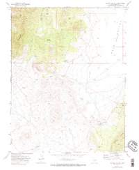 Download a high-resolution, GPS-compatible USGS topo map for Silver King Well, NV (1990 edition)