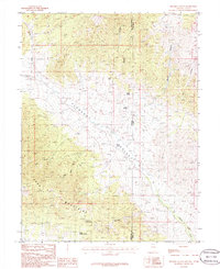 Download a high-resolution, GPS-compatible USGS topo map for Skinner Canyon, NV (1988 edition)