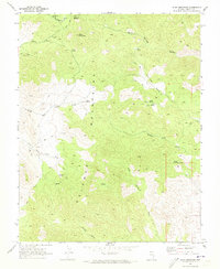 Download a high-resolution, GPS-compatible USGS topo map for Slidy Mountain, NV (1973 edition)