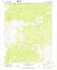 Download a high-resolution, GPS-compatible USGS topo map for Slidy Mountain, NV (1979 edition)