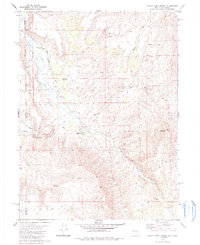 preview thumbnail of historical topo map of Washoe County, NV in 1980