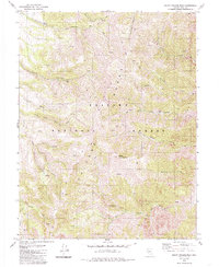 Download a high-resolution, GPS-compatible USGS topo map for South Toiyabe Peak, NV (1985 edition)