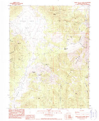 Download a high-resolution, GPS-compatible USGS topo map for Spring Valley Summit, NV (1990 edition)