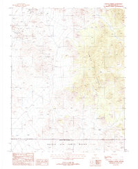 Download a high-resolution, GPS-compatible USGS topo map for Stinking Spring, NV (1988 edition)