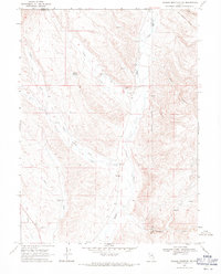 Download a high-resolution, GPS-compatible USGS topo map for Swales Mountain NW, NV (1971 edition)