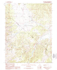 preview thumbnail of historical topo map of Lyon County, NV in 1989