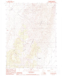 Download a high-resolution, GPS-compatible USGS topo map for The Cedars, NV (1990 edition)