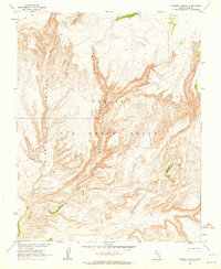 Download a high-resolution, GPS-compatible USGS topo map for Thirsty Canyon, NV (1964 edition)