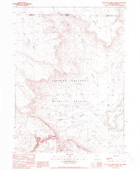 Download a high-resolution, GPS-compatible USGS topo map for Thousand Creek Gorge, NV (1990 edition)