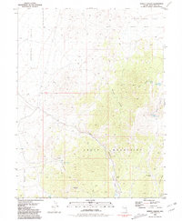 Download a high-resolution, GPS-compatible USGS topo map for Tippett Canyon, NV (1981 edition)