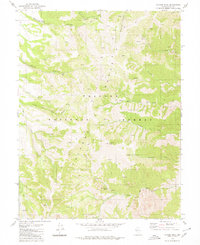 Download a high-resolution, GPS-compatible USGS topo map for Toiyabe Peak, NV (1980 edition)
