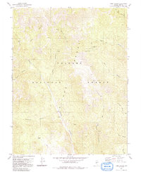 Download a high-resolution, GPS-compatible USGS topo map for Toms Canyon, NV (1991 edition)
