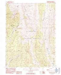Download a high-resolution, GPS-compatible USGS topo map for Treasure Hill, NV (1990 edition)