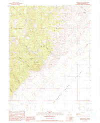 Download a high-resolution, GPS-compatible USGS topo map for Tungsten Mtn, NV (1990 edition)