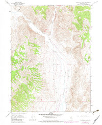 Download a high-resolution, GPS-compatible USGS topo map for Twelvemile Ranch, NV (1982 edition)