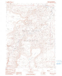 Download a high-resolution, GPS-compatible USGS topo map for Virgin Valley, NV (1990 edition)