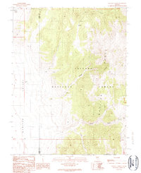 Download a high-resolution, GPS-compatible USGS topo map for Wallace Canyon, NV (1990 edition)