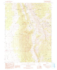 Download a high-resolution, GPS-compatible USGS topo map for Ward Mountain, NV (1991 edition)