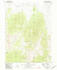 Download a high-resolution, GPS-compatible USGS topo map for Weaver Canyon, NV (1981 edition)