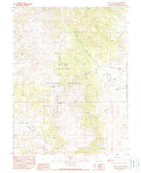 Download a high-resolution, GPS-compatible USGS topo map for Well Canyon, NV (1990 edition)
