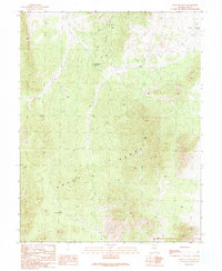 Download a high-resolution, GPS-compatible USGS topo map for Wells Station, NV (1990 edition)