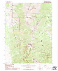 Download a high-resolution, GPS-compatible USGS topo map for Wheeler Peak, NV (1995 edition)