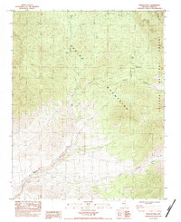 Download a high-resolution, GPS-compatible USGS topo map for Wheeler Well, NV (1984 edition)