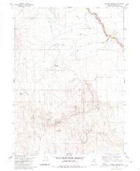 Download a high-resolution, GPS-compatible USGS topo map for Whiskey Springs, NV (1980 edition)