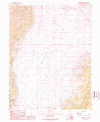 Download a high-resolution, GPS-compatible USGS topo map for Whisky Flat, NV (1989 edition)