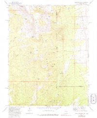 Download a high-resolution, GPS-compatible USGS topo map for White Rock Peak, NV (1986 edition)