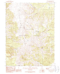 Download a high-resolution, GPS-compatible USGS topo map for Wildcat Peak, NV (1990 edition)