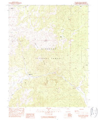 Download a high-resolution, GPS-compatible USGS topo map for Willow Grove, NV (1990 edition)