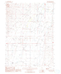 Download a high-resolution, GPS-compatible USGS topo map for Willow Point, NV (1989 edition)