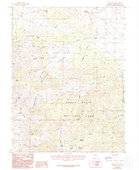 Download a high-resolution, GPS-compatible USGS topo map for Windy Peak, NV (1993 edition)