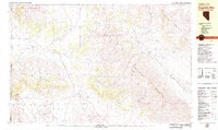 Download a high-resolution, GPS-compatible USGS topo map for Dogskin Mtn, NV (1979 edition)