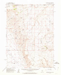Download a high-resolution, GPS-compatible USGS topo map for Disaster Peak, NV (1963 edition)