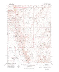 Download a high-resolution, GPS-compatible USGS topo map for Disaster Peak, NV (1977 edition)