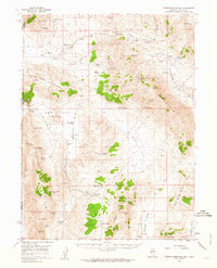 Download a high-resolution, GPS-compatible USGS topo map for Dogskin Mountain, NV (1963 edition)