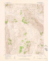 Download a high-resolution, GPS-compatible USGS topo map for Dogskin Mountain, NV (1959 edition)