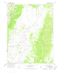 Download a high-resolution, GPS-compatible USGS topo map for Fish Springs, NV (1978 edition)