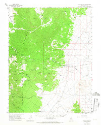 Download a high-resolution, GPS-compatible USGS topo map for Forest Home, NV (1966 edition)