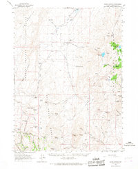 Download a high-resolution, GPS-compatible USGS topo map for Idaho Canyon, NV (1967 edition)